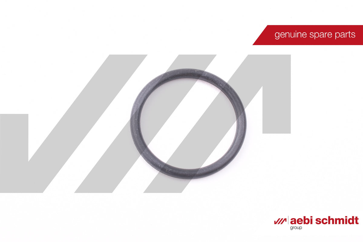 O-Ring  17.17 x 1.78 CR70